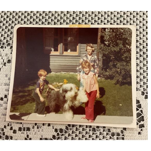 Unbranded Other - 1976 Sheep Dog Christmas Family Photo
